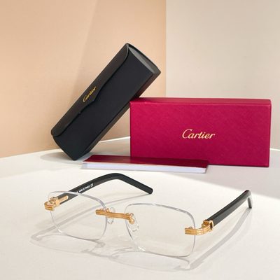 Cartier Sunglasses — 8