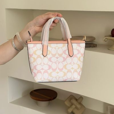 Coach Bag — 4