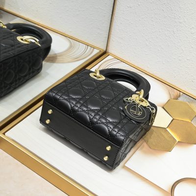 Dior Bag — 5