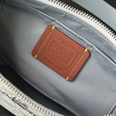 Coach Bag — 9