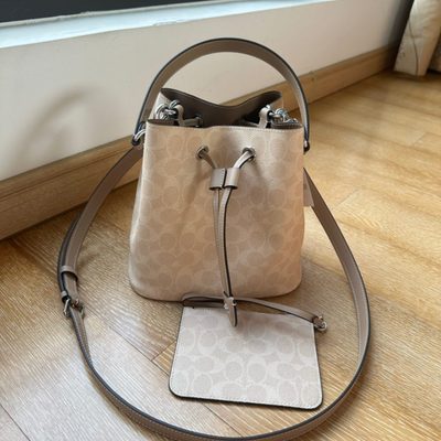 Coach Bag — 6