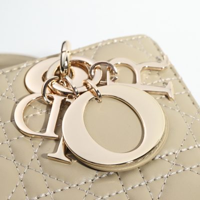 Dior Bag — 4