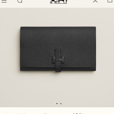 Hermes Bag — 5