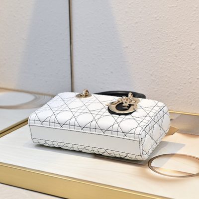 Dior Bag — 6