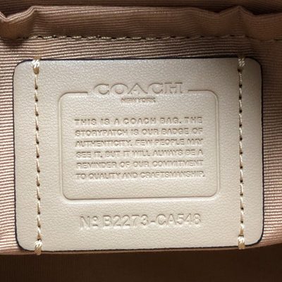 Coach Bag — 8