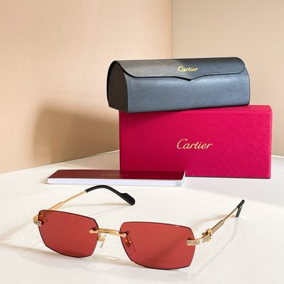Cartier Sunglasses — 4