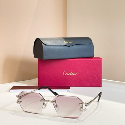 Cartier Sunglasses — 6