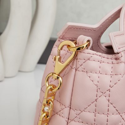 Dior Bag — 6