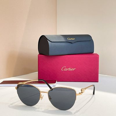 Cartier Sunglasses — 6