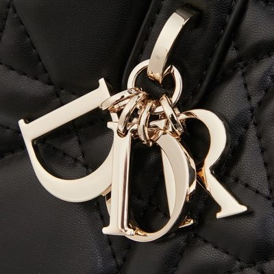 Dior Bag — 6