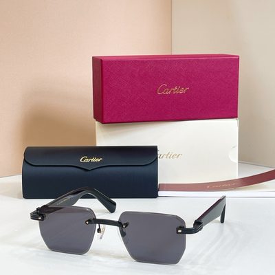 Cartier Sunglasses — 4
