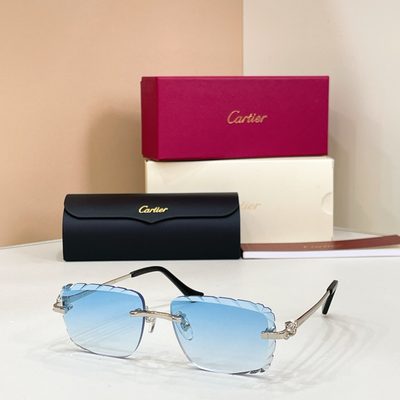 Cartier sunglasses — 6