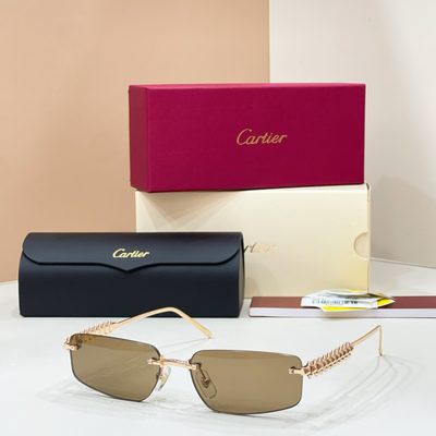 Cartier Sunglasses — 5