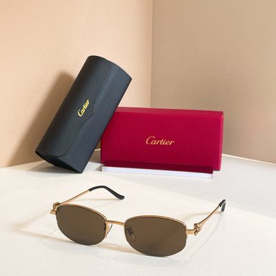 Cartier Sunglasses — 4