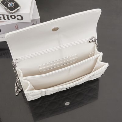 Dior Bag — 9