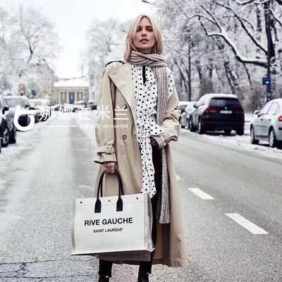 YSL Bag