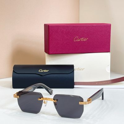 Cartier Sunglasses — 3