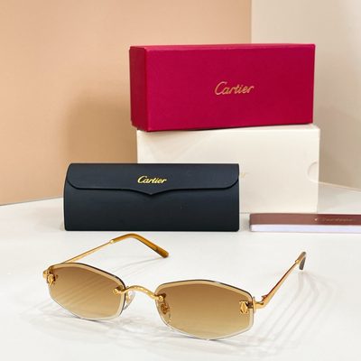 Cartier Sunglasses — 5