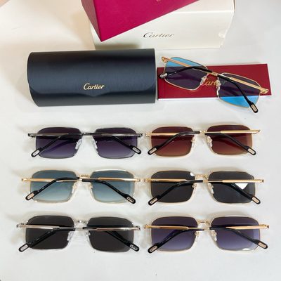 Cartier Sunglasses — 8