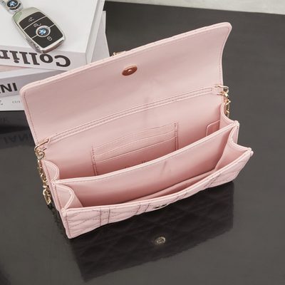Dior Bag — 9