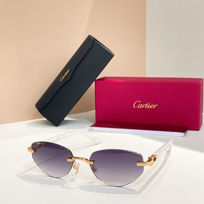 Cartier Sunglasses — 7