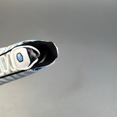 Nike Air Max Plus trainers — 8
