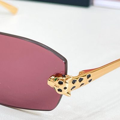 Cartier Sunglasses — 3