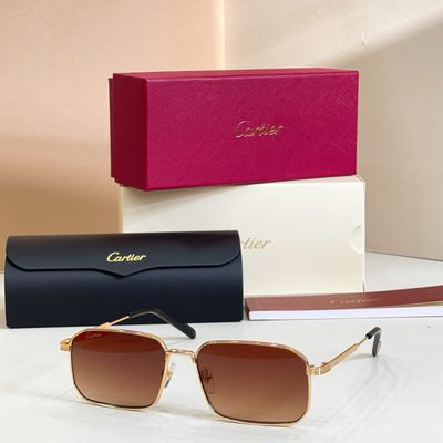 Cartier Sunglasses — 6