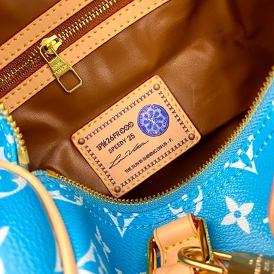 Louis Vuitton Bag — 8