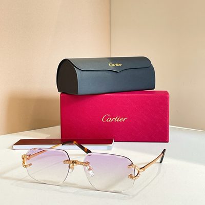 Cartier Sunglasses — 6