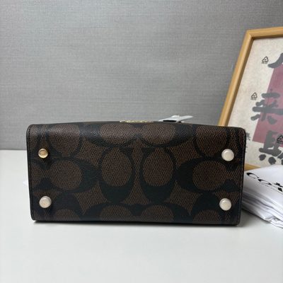 Coach Bag — 6