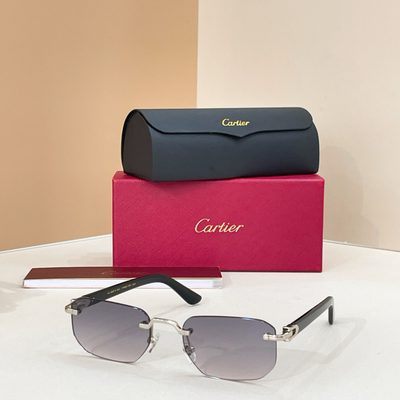 Cartier Sunglasses — 3