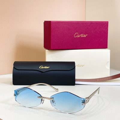 Cartier Sunglasses — 6