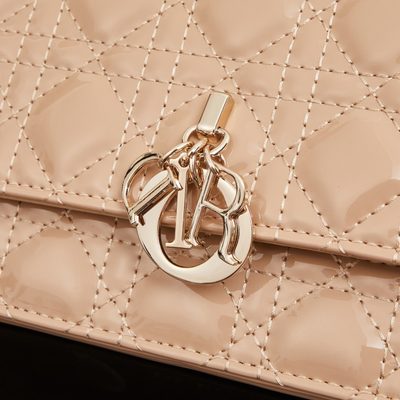 Dior Bag — 5