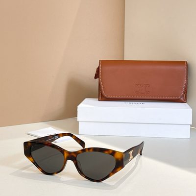 Celine Sunglasses — 6
