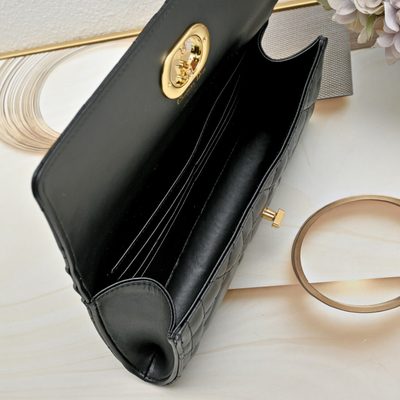 Dior Bag — 9