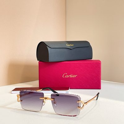 Cartier Sunglasses — 5