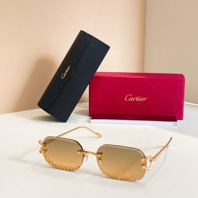 Cartier Sunglasses — 4