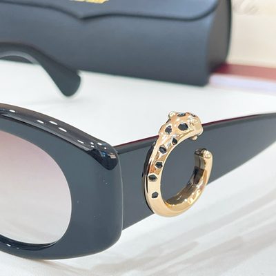 Cartier Sunglasses — 4