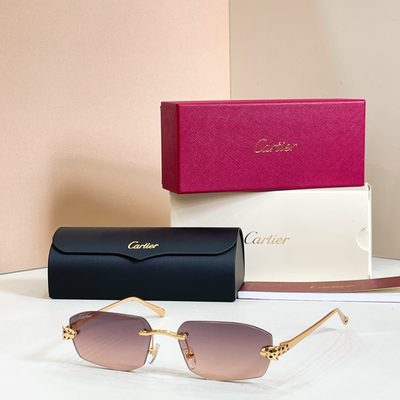 Cartier Sunglasses — 6