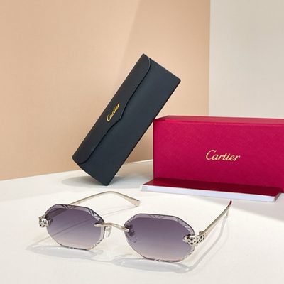 Cartier Sunglasses — 3