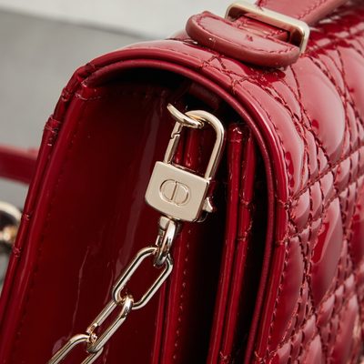 Dior Bag — 6
