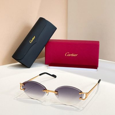 Cartier Sunglasses — 3