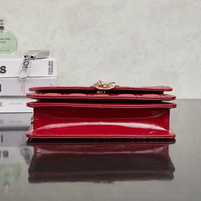 Dior Bag — 4