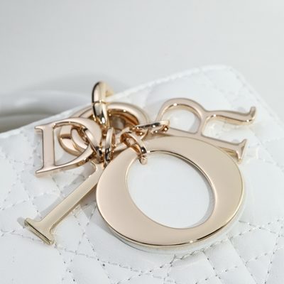 Dior Bag — 5