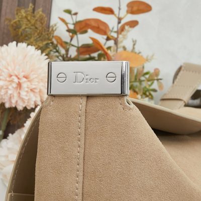 Dior Bag — 4
