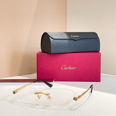 Cartier Sunglasses — 6
