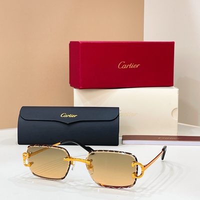 Cartier Sunglasses — 5
