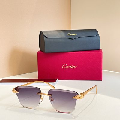 Cartier Sunglasses — 7