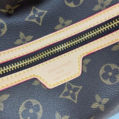 Louis Vuitton Bag — 4